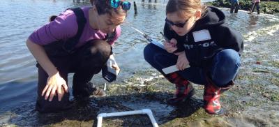 Researcher and student look at a quadrat in the mud